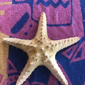 Meet your Posher, Pj